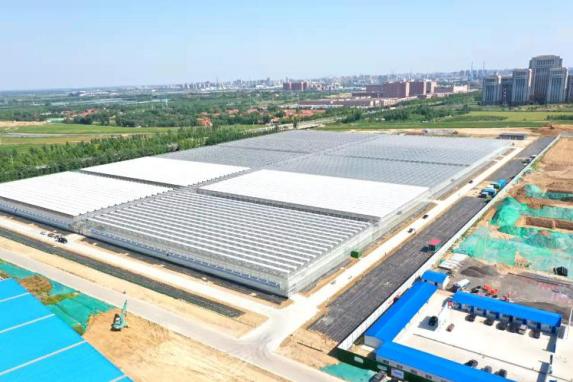 科技 农业:潍坊国家农综区致力于打造综合性国际化种业研发展示基地