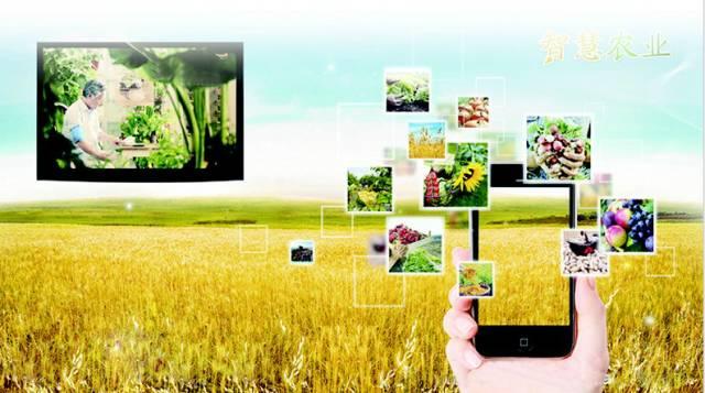 发展智慧农业,这4项技术是关键