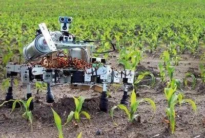 【农业科技】农业机器人研发面临三大挑战